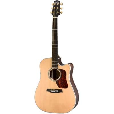 GUITARE WALDEN DREADNOUGHT D603CEW