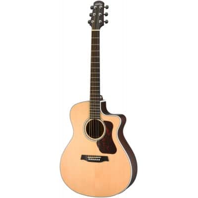 WALDEN GUITARE WALDEN G.AUDITORIUM G803CEW