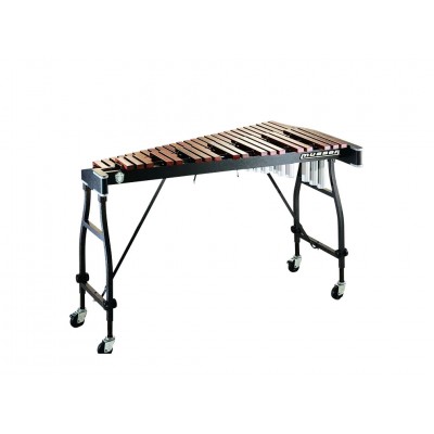 M50 XYLOPHONE