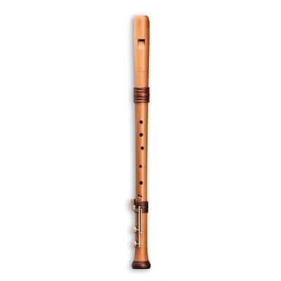 Reve D'adri Ténor 4427 - Poirier Naturel (doigté Baroque)