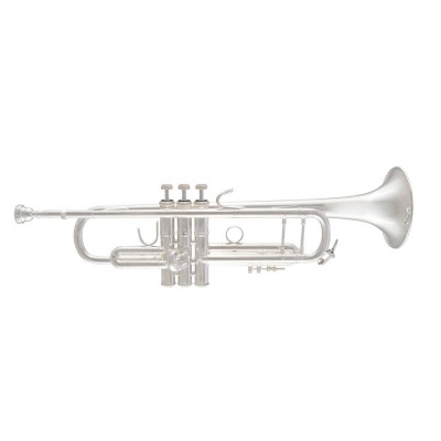 Professionele Bes trompet