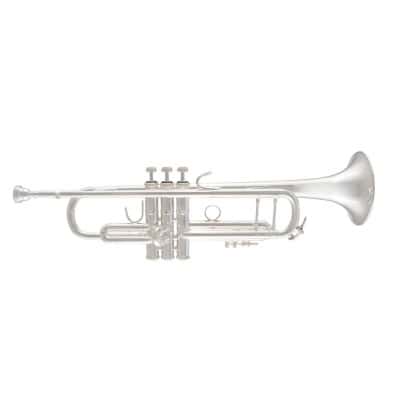 STRADIVARIUS 180SML 37/25 SILVER