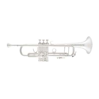 STRADIVARIUS 190S37 CLEAR LACQUER 