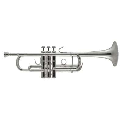 C180L 239/25C STRADIVARIUS SILVER