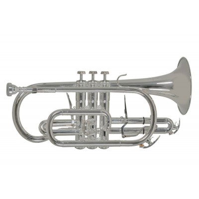 CR651S - Sib - PLATEADO 