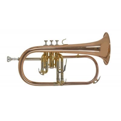 Bb - FLUGELHORN FH501