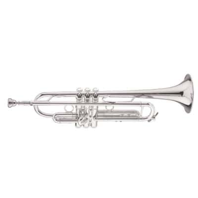 STRADIVARIUS LT180S77 NEW YORK #7 SILVER