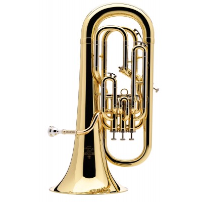 BESSON Prodige Sib Verni - BE165-1-0