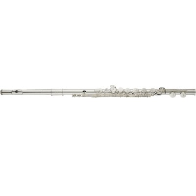 ALTO FLUTE WITH STRAIGHT HEAD AND CURVED HEAD IN C AS821E