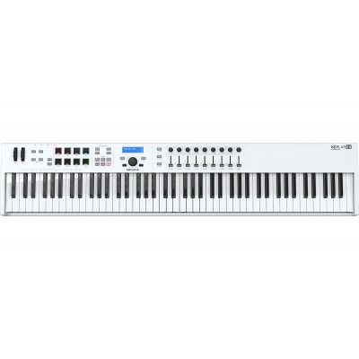 ESSENTIAL 88 WH - B Stock