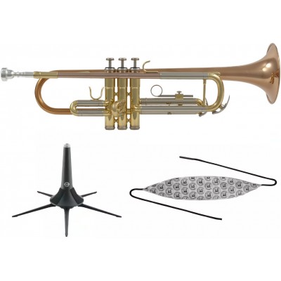WOODBRASS Pack WTP400 - Sib barnizado