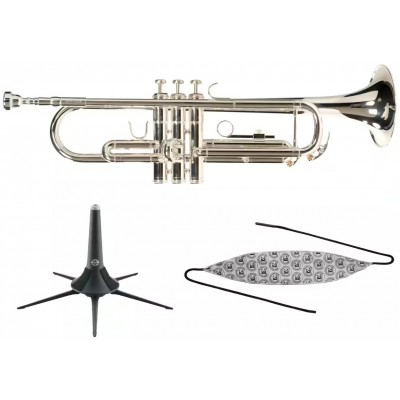 WOODBRASS Pack WTP400S - B b lackiert