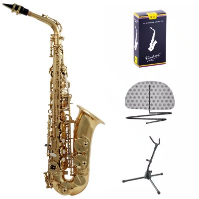 WOODBRASS Pack WSA100 - Alto Mi b Verni