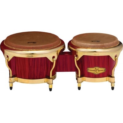 BONGOS 7