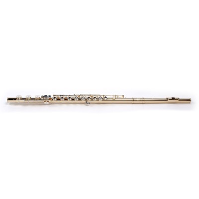 MAESTA - .925, GOLD PLATED HEAD AND TUBE (B-LEG)