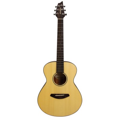 Breedlove Ppt21 Passport Traveler