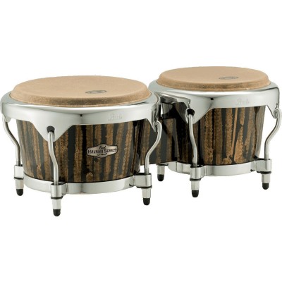 PEARL DRUMS BONGOS HAVANA 7+9 LIQUID GOLD