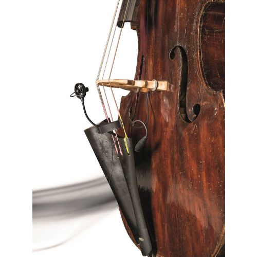CL21 Lanen Cello