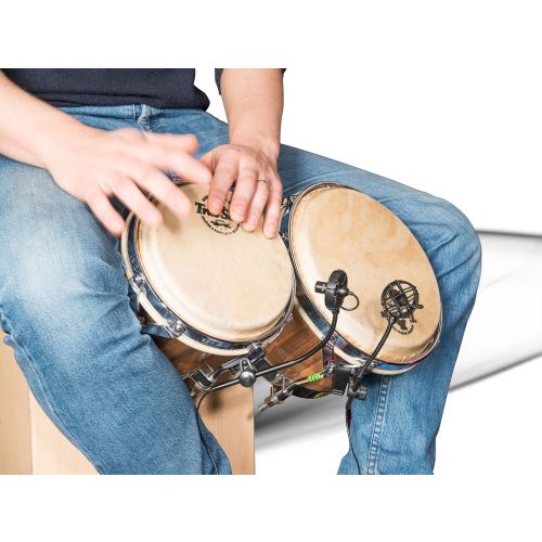 PL21 Salmieri Percussions