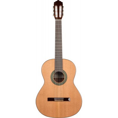 Prodipe Guitars Soloist 500