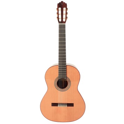 Prodipe Guitars Soloist 700