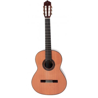 Prodipe Guitars Soloist 900