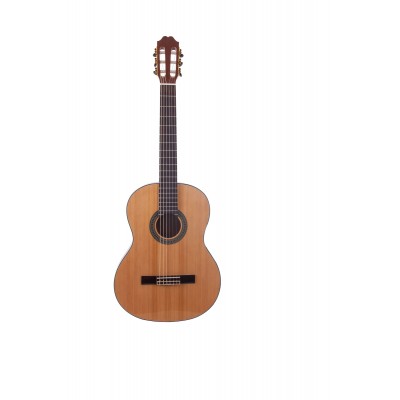 Prodipe Guitars Starter Primera 4/4