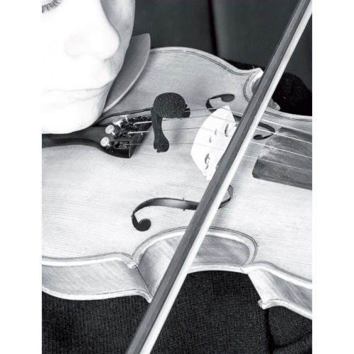 Prodipe Vl21 Lanen Violon - Alto