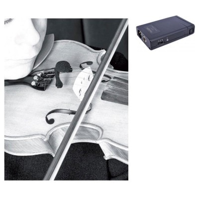 VL21 LANEN VIOLIN - ALTO + BP21