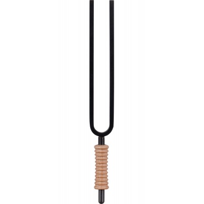 STF-DY - Diapason Earth Day - 194,2Hz