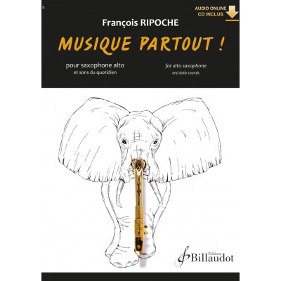 FRANCOIS RIPOCHE - MUSIQUE PARTOUT