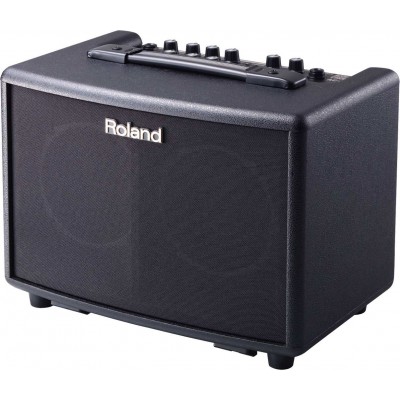 ROLAND AC-33