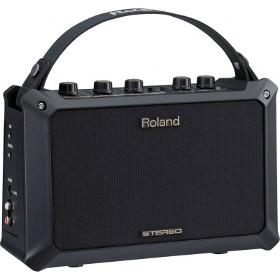 ACOUSTIC GUITAR AMPLIFIER