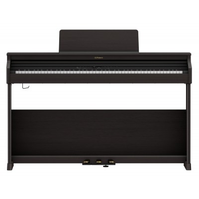 ROLAND RP-701 DR