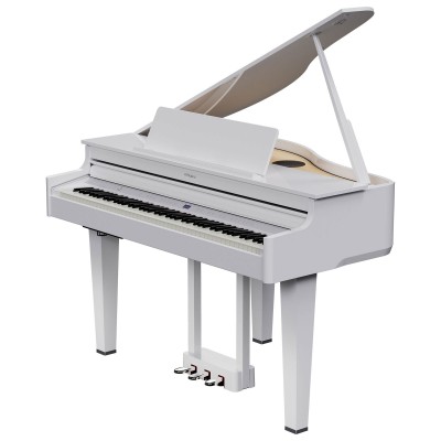 ROLAND GP-6 PW Blanc Poli
