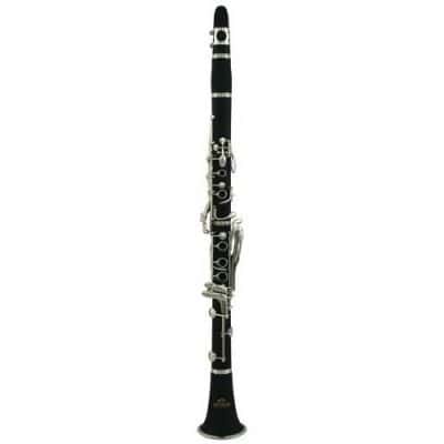 ROY BENSON CB-317 BB CLARINET