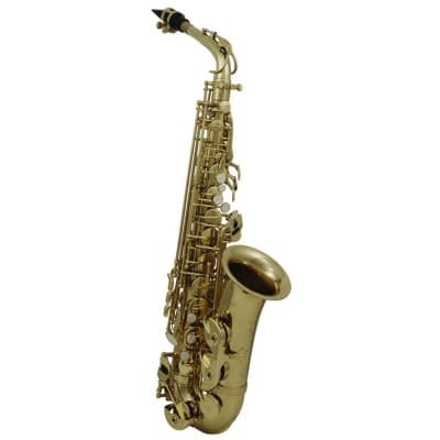 ROY BENSON EB-ALTO SAXOPHONE AS-202 STUDENT SERIES 