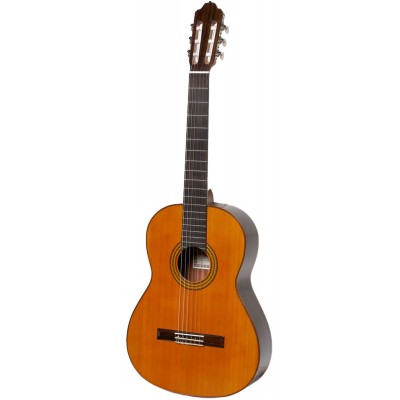 Mod.3 Cedar Top