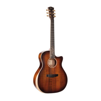 CORT The Black Tree Light Burst