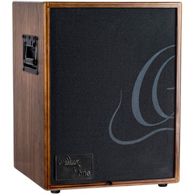 AMPLI ORTEGA 100W, 2 CANAUX, REV/CHORUS