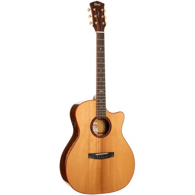CORT Gold A10 Cocobolo Natural Glossy