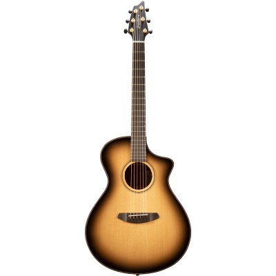 Oregon Concert Ce Saddleback