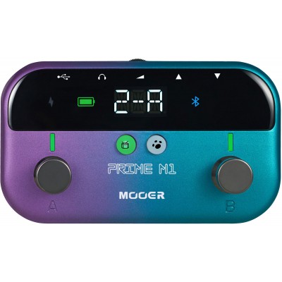MOOER PRIME M1