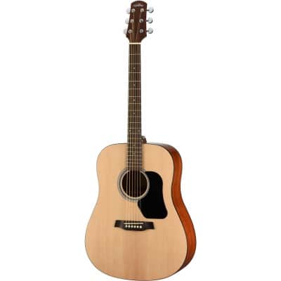 DREADNOUGHT D350W