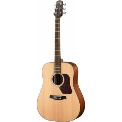 DREADNOUGHT D550EW