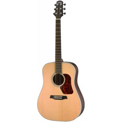 WALDEN DREADNOUGHT D803EW