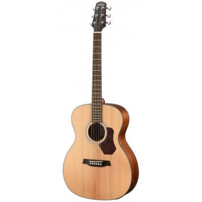 GUITARE WALDEN ORCHESTRA O550EW