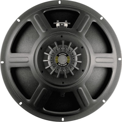 HP AMPS BASS BN 38CM 300W 4 O NEODYMIUM