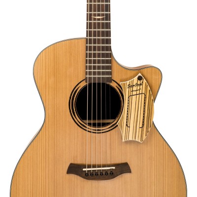 S-SJ110Z - Samjam Guitar Snare Zebrano