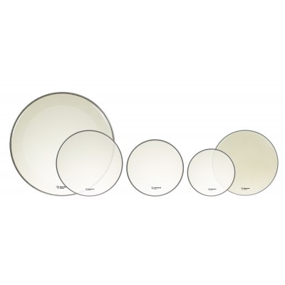 SPAREDRUM 10/12/14/14/22 Alverstone Transparente Fusion Pack